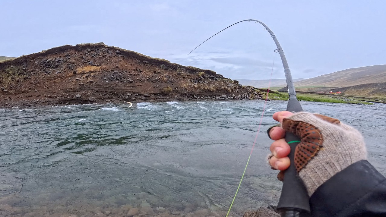 First Time Fishing Svartá River for Brown Trout and Arctic Char