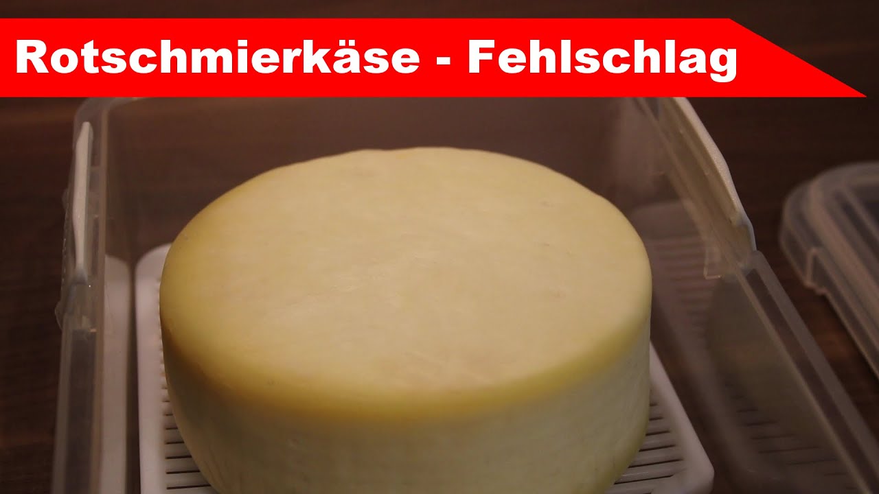 🧀 Rotschmier-Fehlschlag 🧀 erster Misserfolg - Käse selber machen - Alles Käse