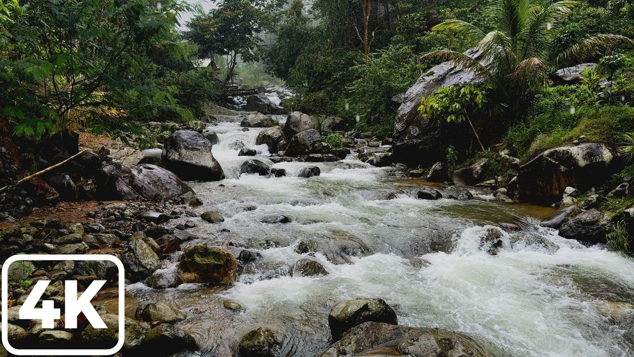 [4K] Relaxing rainy waterfall audio in Indonesia