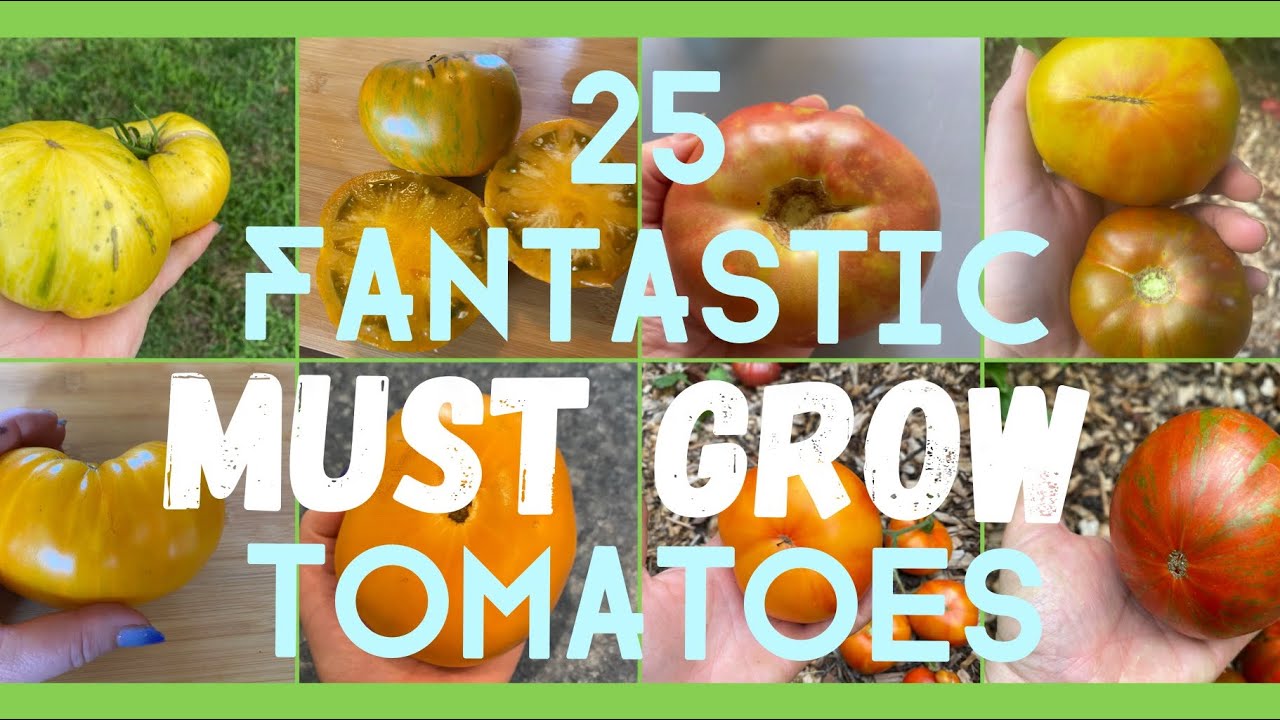 My TOP 25 SLICERS of 2023