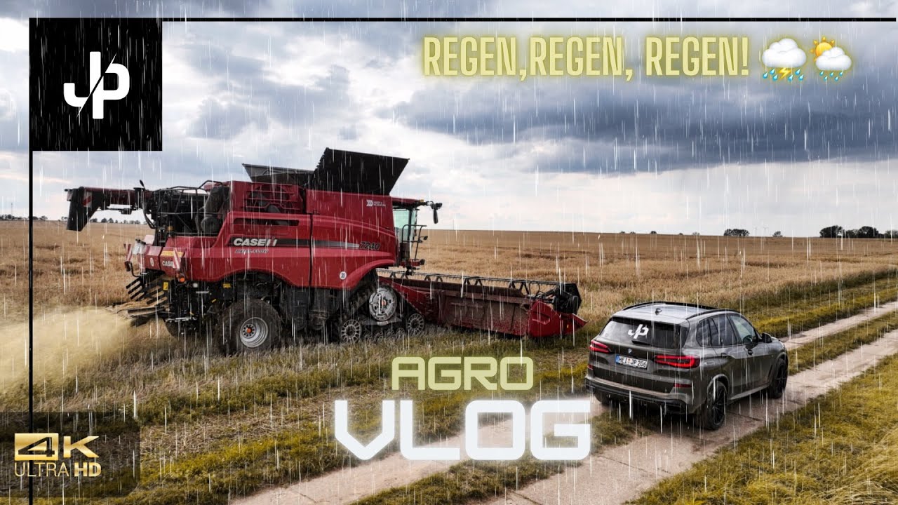 Ernte 2023, st&auml;ndig Regen! Saatgutvermehrung Roggen - || JP Agrar
