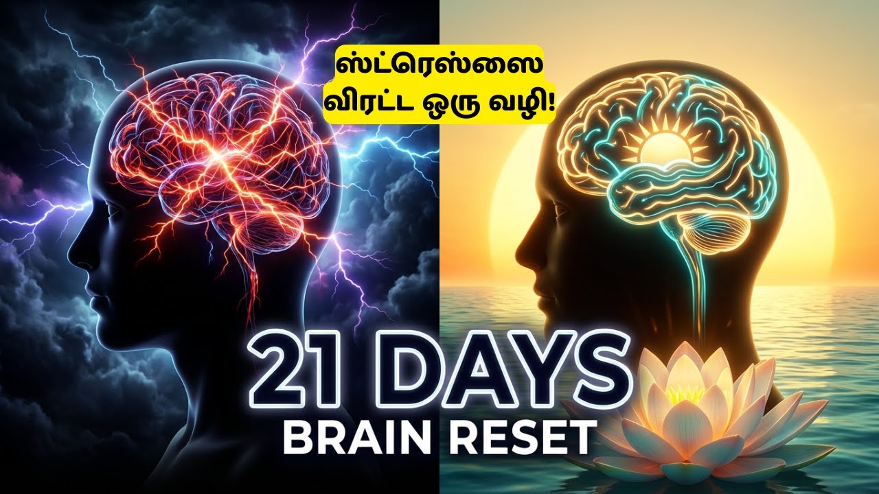 21 நாட்களில் உங்கள் வாழ்க்கையை மாற்றும் மந்திரம்! | The Science of Gratitude (Tamil)