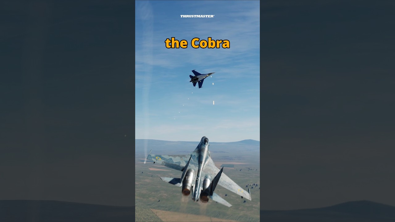 Cobra Button Wins the Dogfight! #dcs #simulation