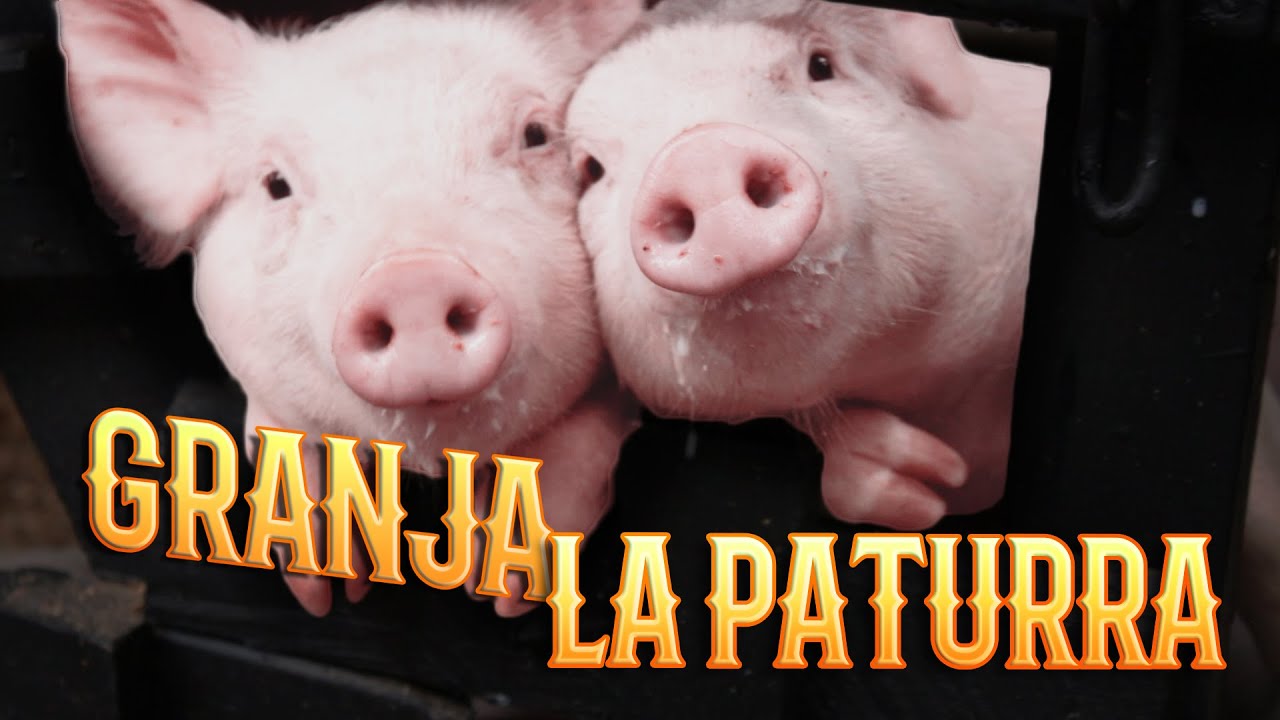 GRANJA LA PATURRA 2021 - Envigado, Antioquia