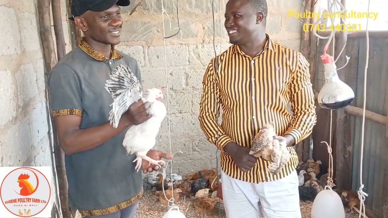 this small setup in nairobi generates real income