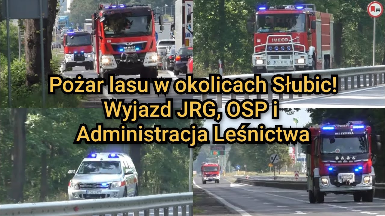 🚨MEGA HITs do pożaru lasu! Alarmowo 391F21,26,25,90 JRG i 399F82 OSP Słubice i 399F01,02 OSP Cybinka