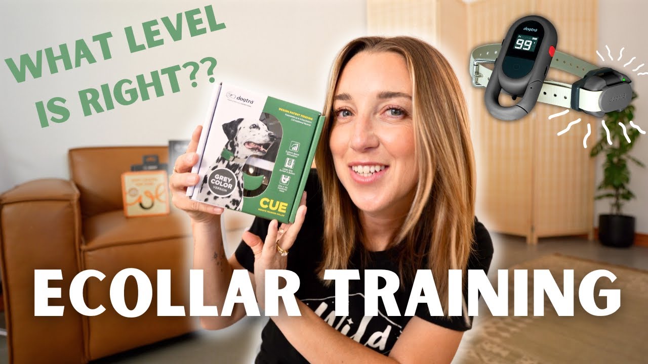 Ecollar Training Series Pt.1 | Finding the Right Level