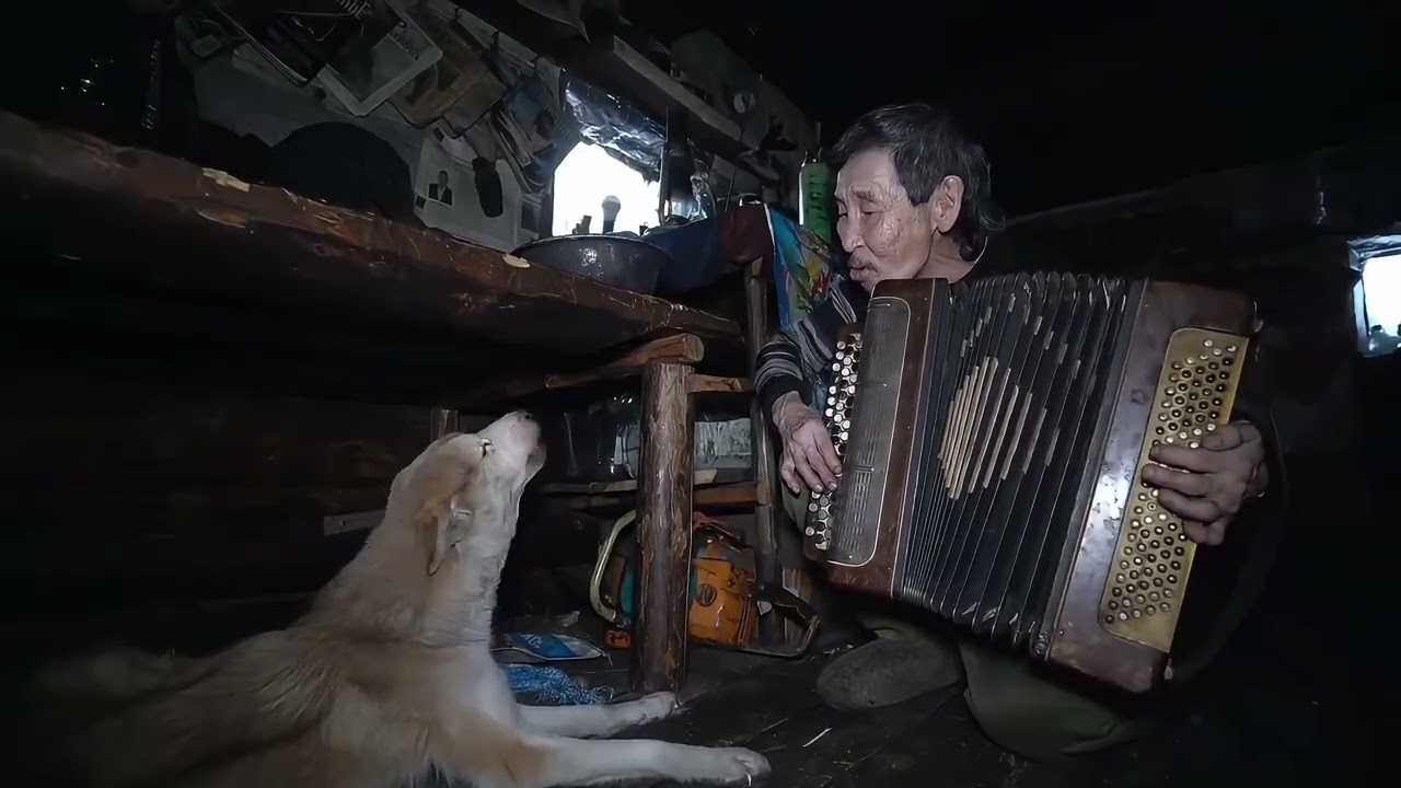 俄罗斯原始森林，老人独自在野外生活20年，过着非常原始的生活 #环球旅行  #带你看世界  #俄罗斯