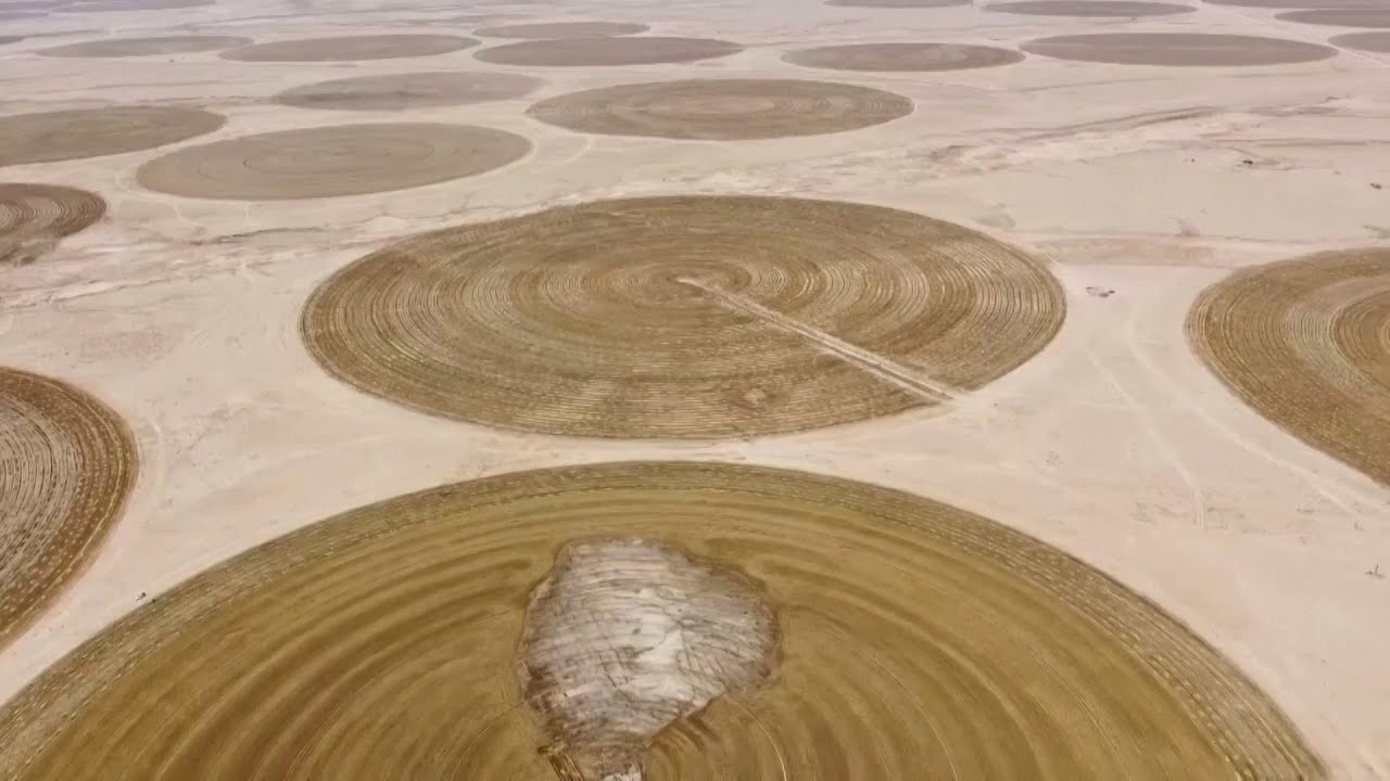Desert wells help Iraqi farmers grow wheat