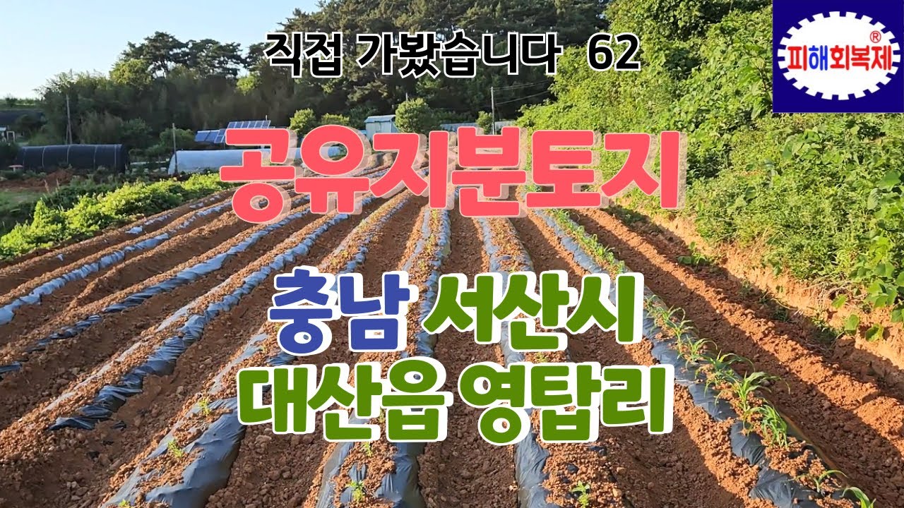 직접 다녀왔습니다. 충남 서산시 대산읍 영탑리 공유지분토지 임장  [블로그-공유지분토지 매매솔루션, 카페-공유지분토지 투자자 모임] 검색!
