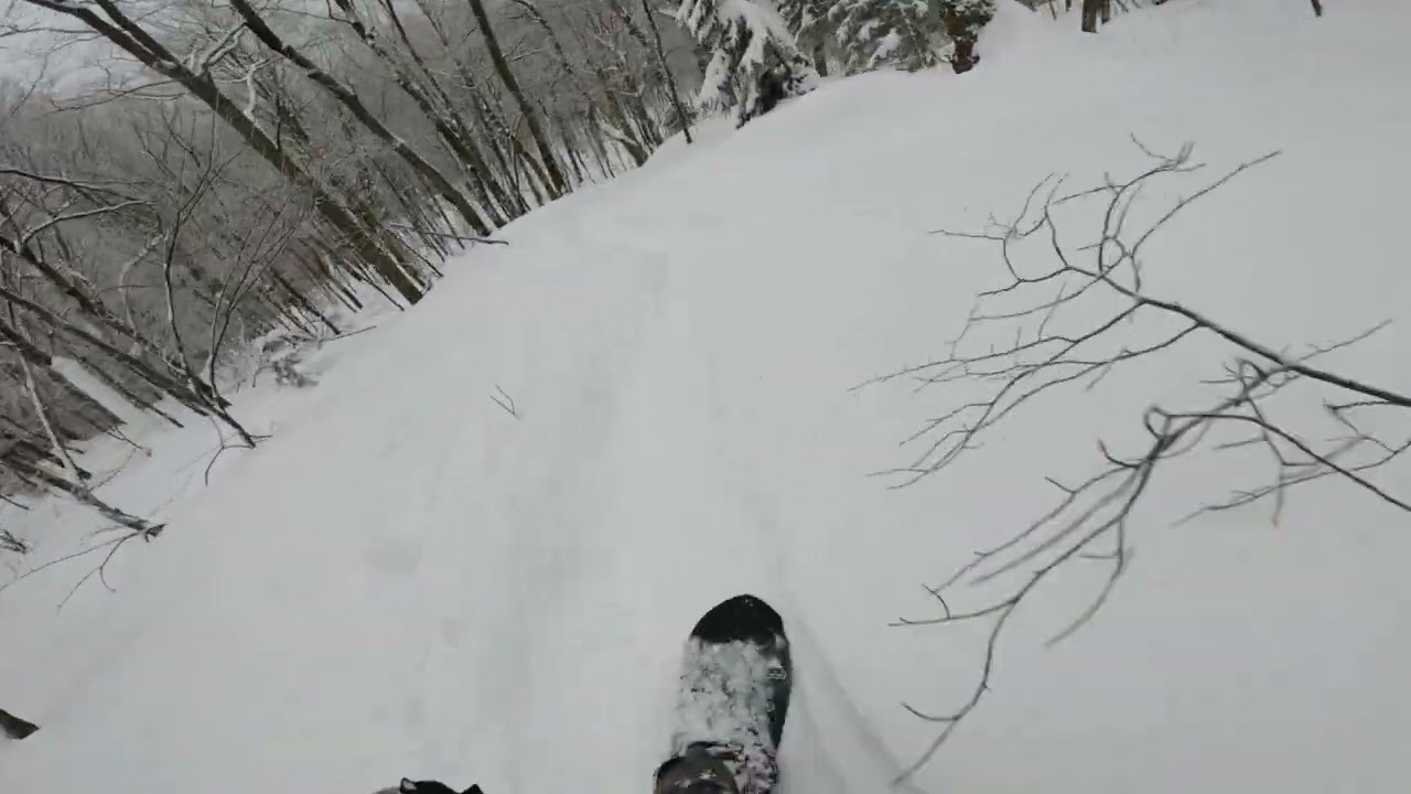 2026 02 21 Stowe