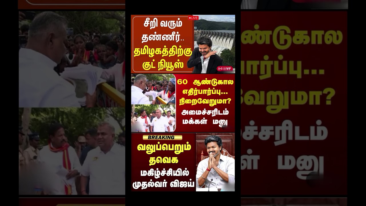Daily political news update || #tvk #dmk #vijay #bjp #breakingnews #election #jananayagan