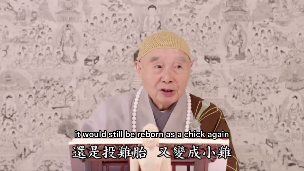 Master Chin Kung - The affinity of being human and encountering Buddhism is extremely hard to attain
