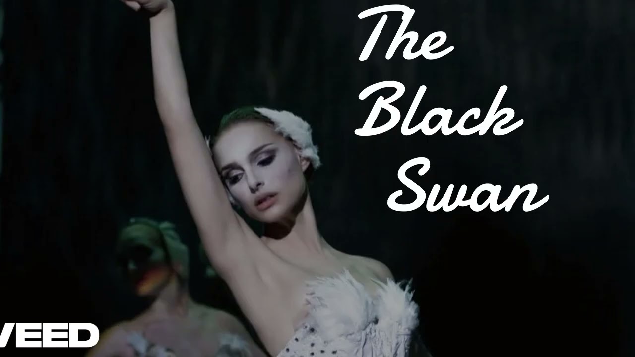 The Black Swan 🦢