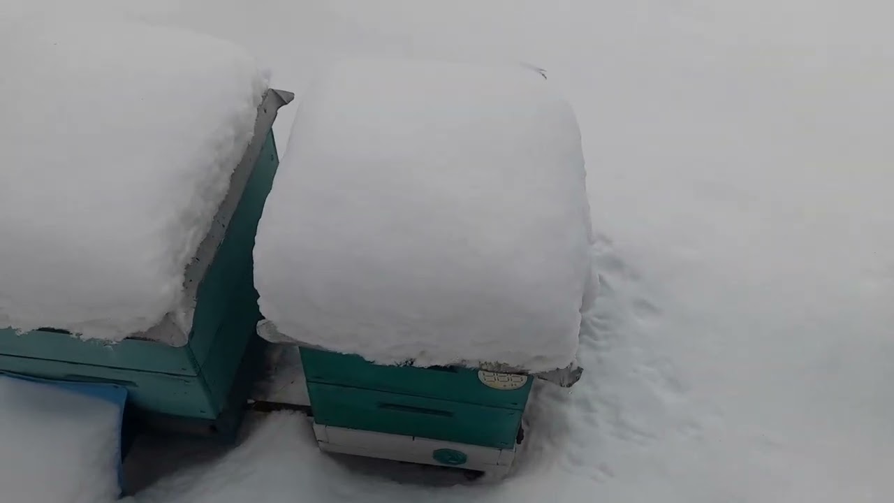 Хтось залазив у льоток.