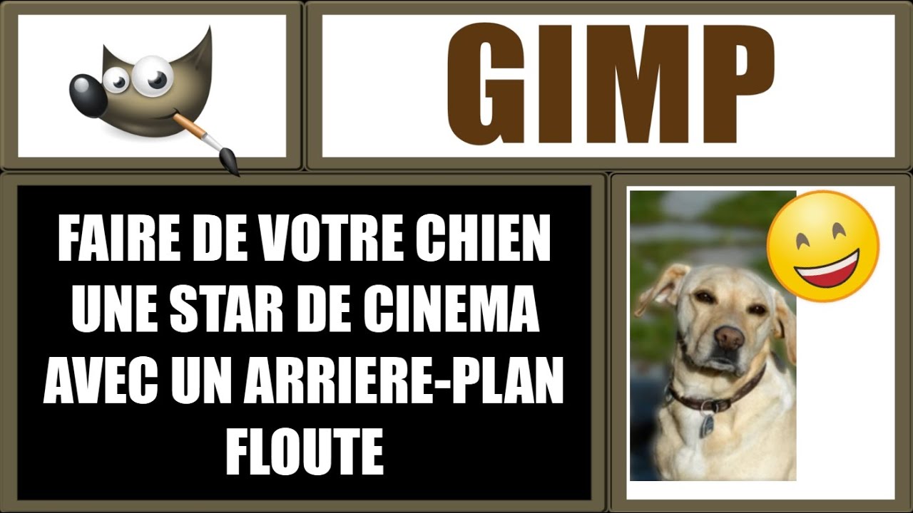 Pour flouter l'arrière plan d'un portrait d'un chien avec GIMP