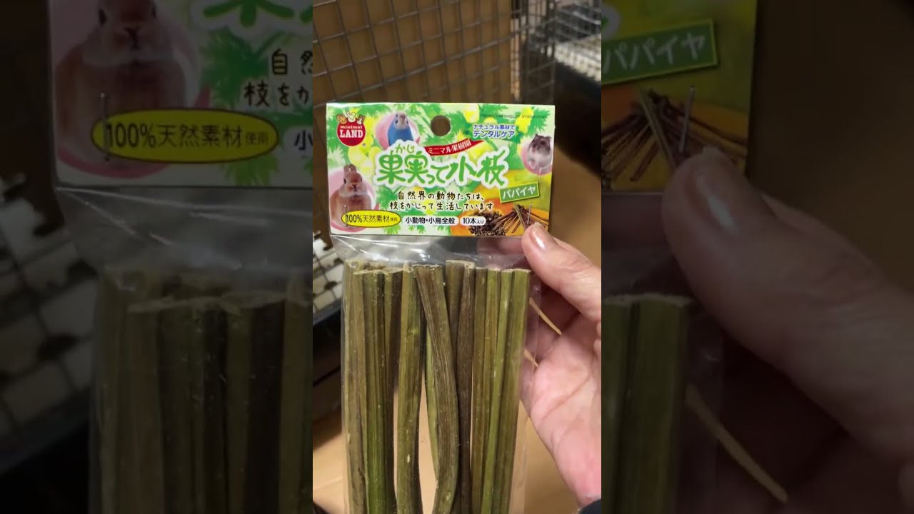 らんねねちゃんねる【rannene】 がライブ配信中！