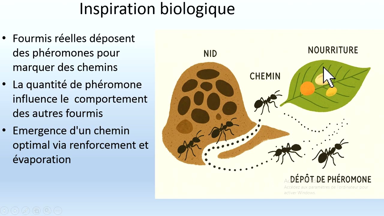 Colonie de fourmis ACO