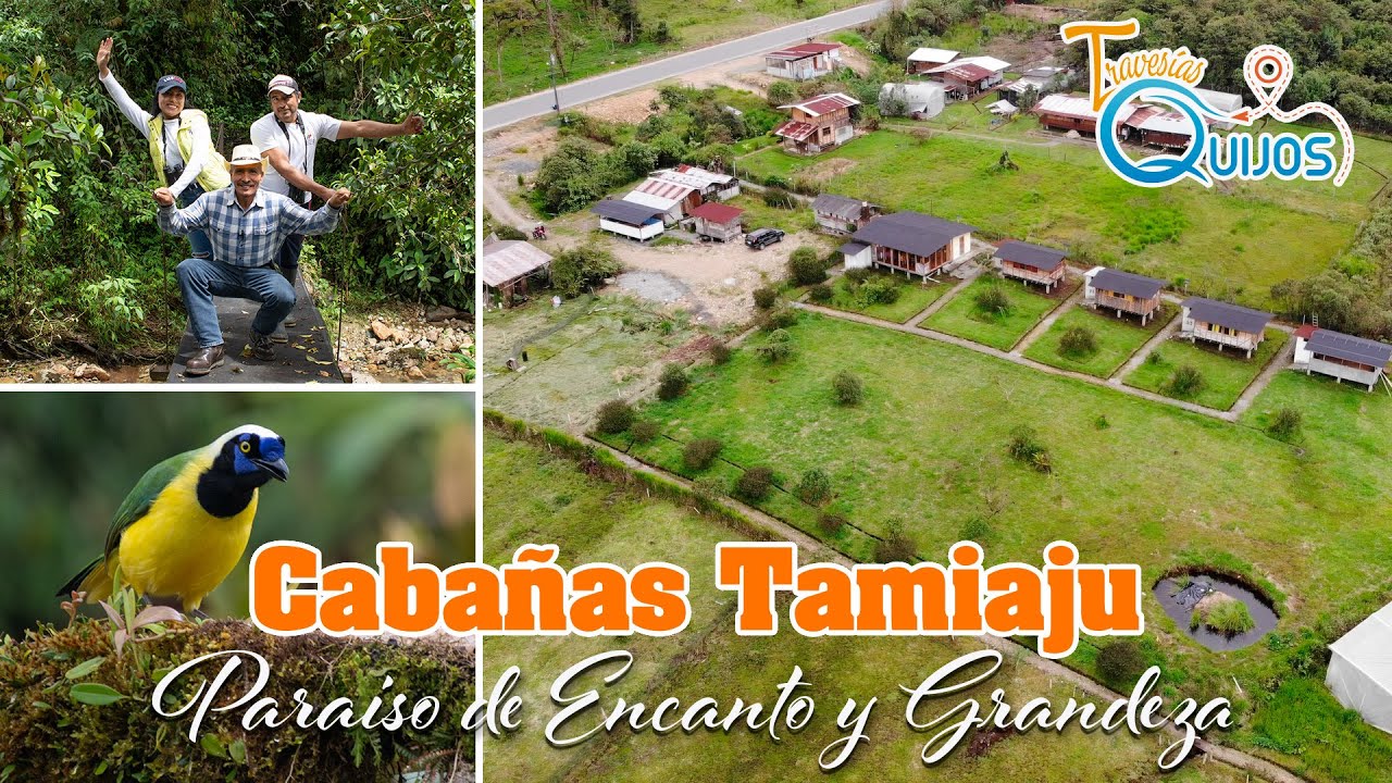 Tamiaju - Cosanga