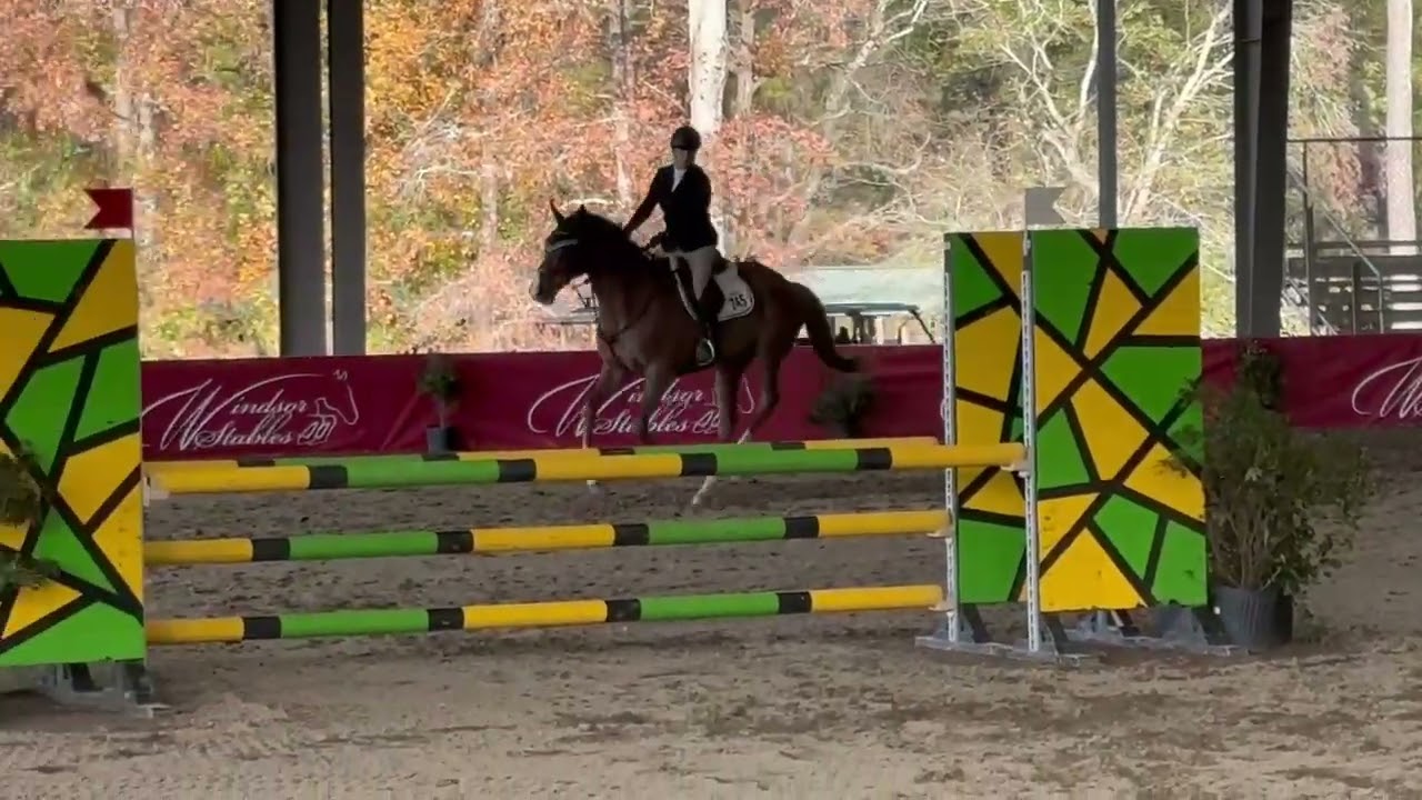 Janet Keller - Atticus  90 jumpers