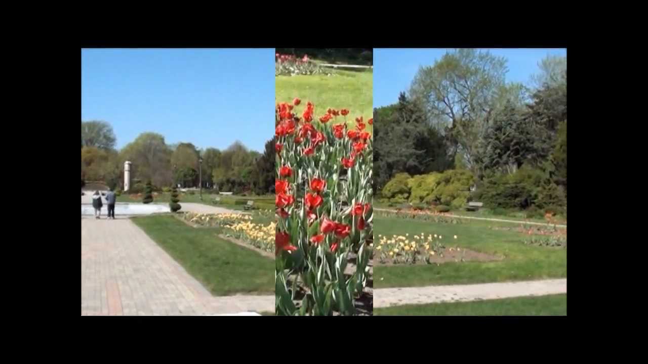 Video Tour Jackson Park & Queen Elizabeth II Sunken Garden's