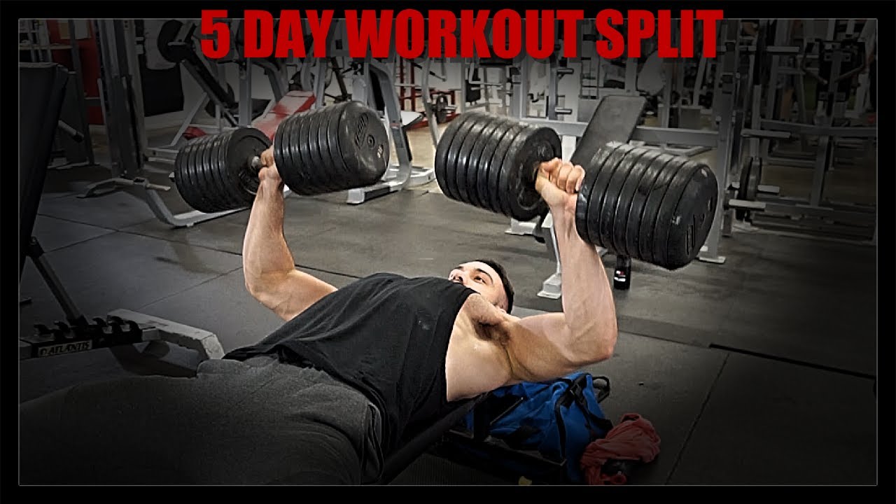 5 Day Split Routine | Upper Lower Push Pull Legs HYBRID