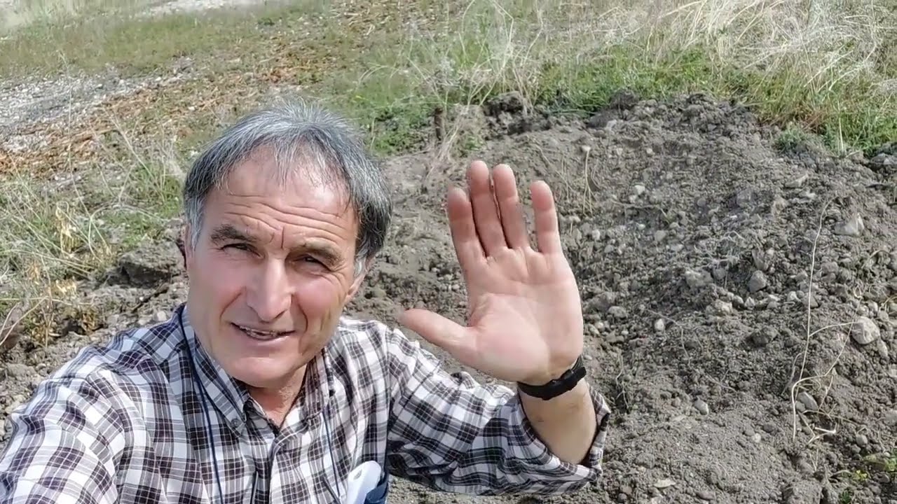Reconversión del olivar 1ªParte
