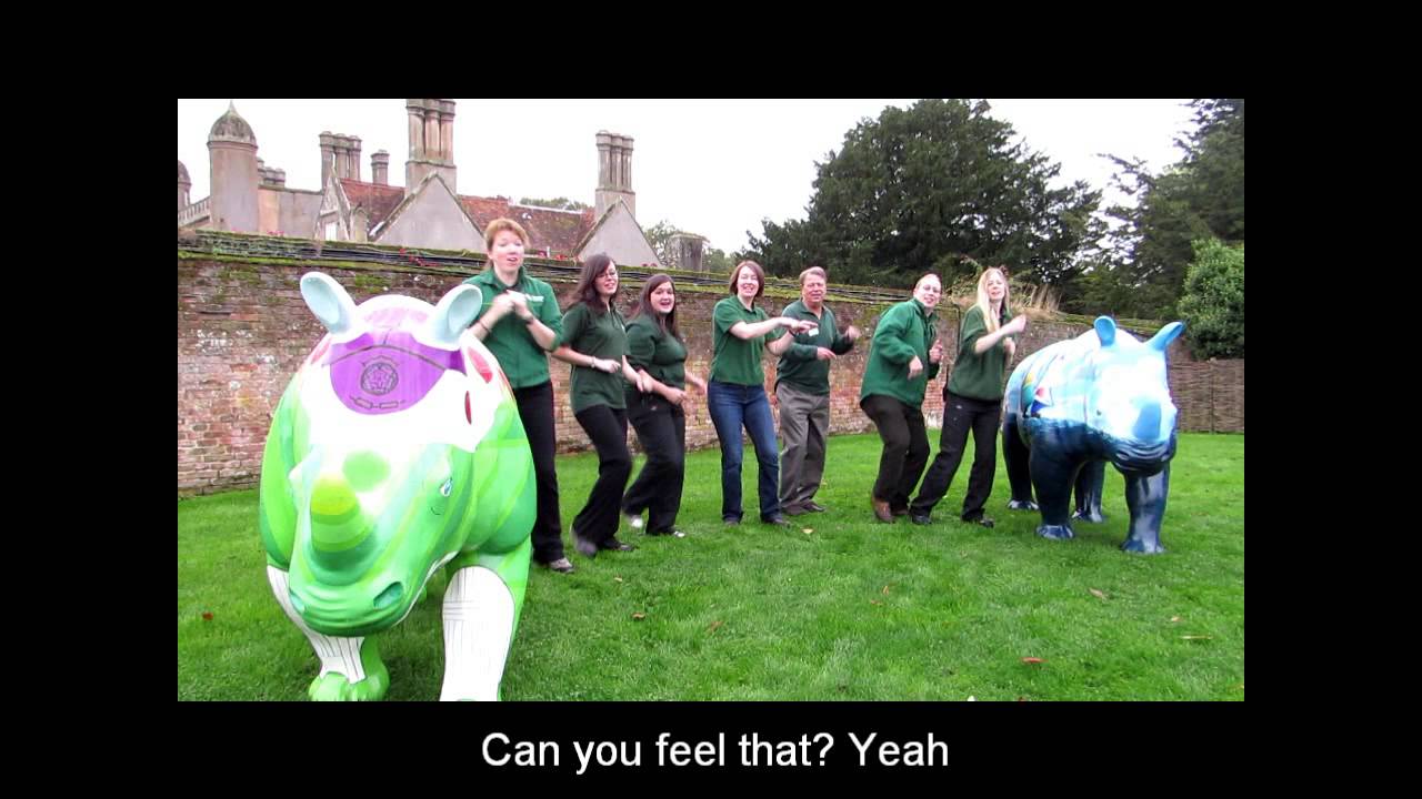 Go! Rhinos Vs Price Tag (Marwell Zoo Staff Go Wild)