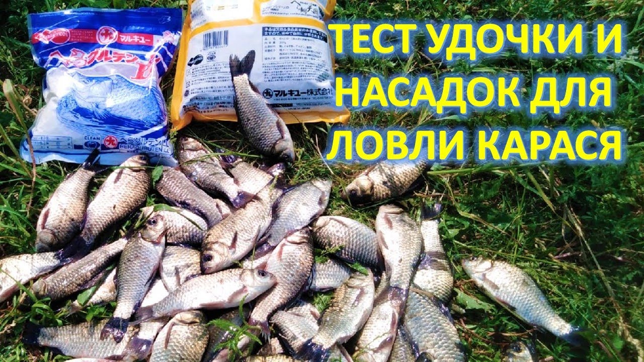 ХЕРАБУНА. ТЕСТ НОВОЙ УДОЧКИ И НОВЫХ НАСАДОК ДЛЯ ЛОВЛИ КАРАСЯ