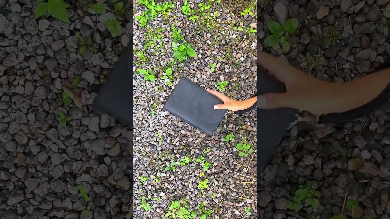 Eco-Friendly Bags - A Burst of Colors Inspired by Earth's Palette