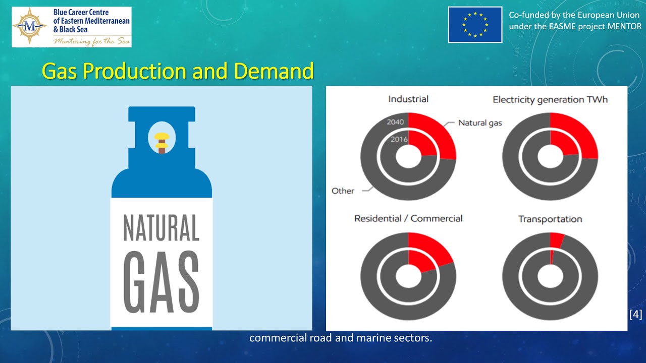 9. Offshore Oil and Gas e-course &ndash; Students