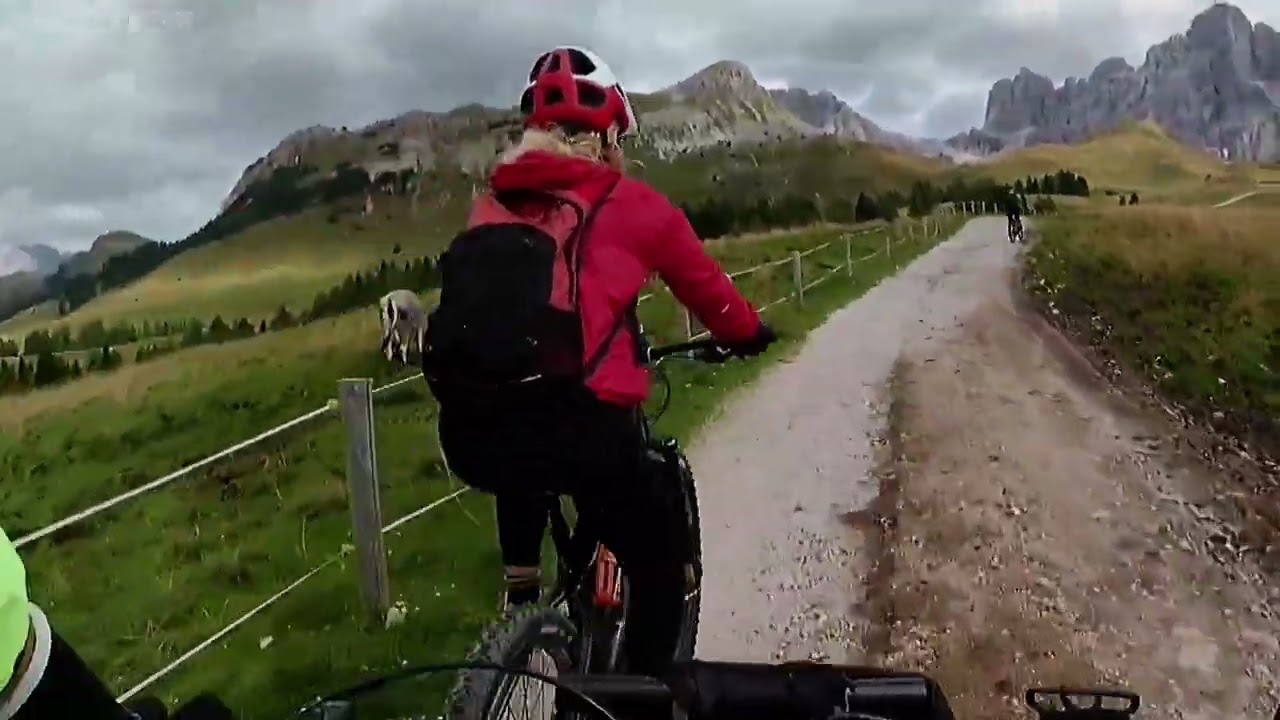 MTB Da Predazzo  , Val Venegia ,  Malga Juribello , Sassaia DH , Paneveggio  ,