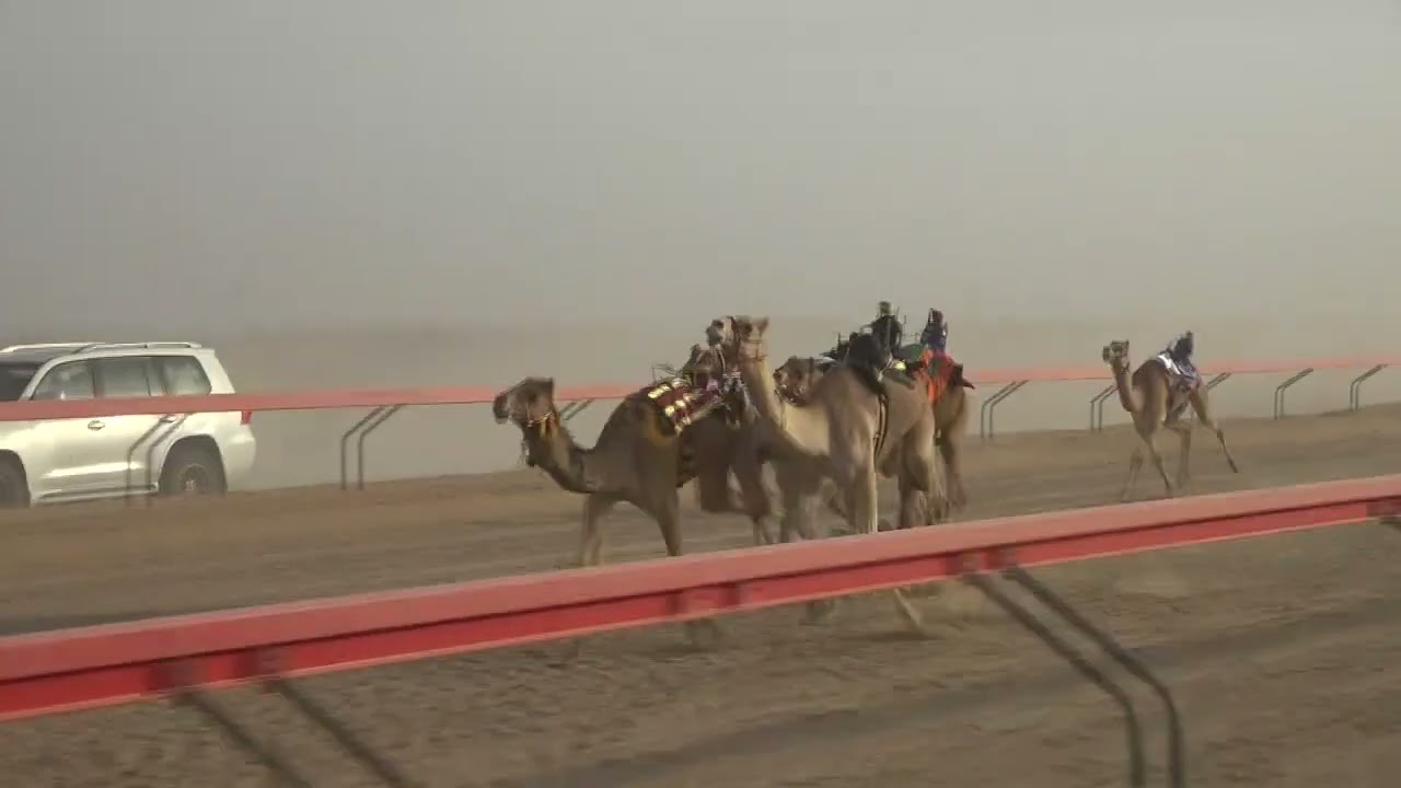 ✅ الشوط 1...افاق/على سعيد الدرعي 1:39:78 رفاش. صعوب 7/2/2026 