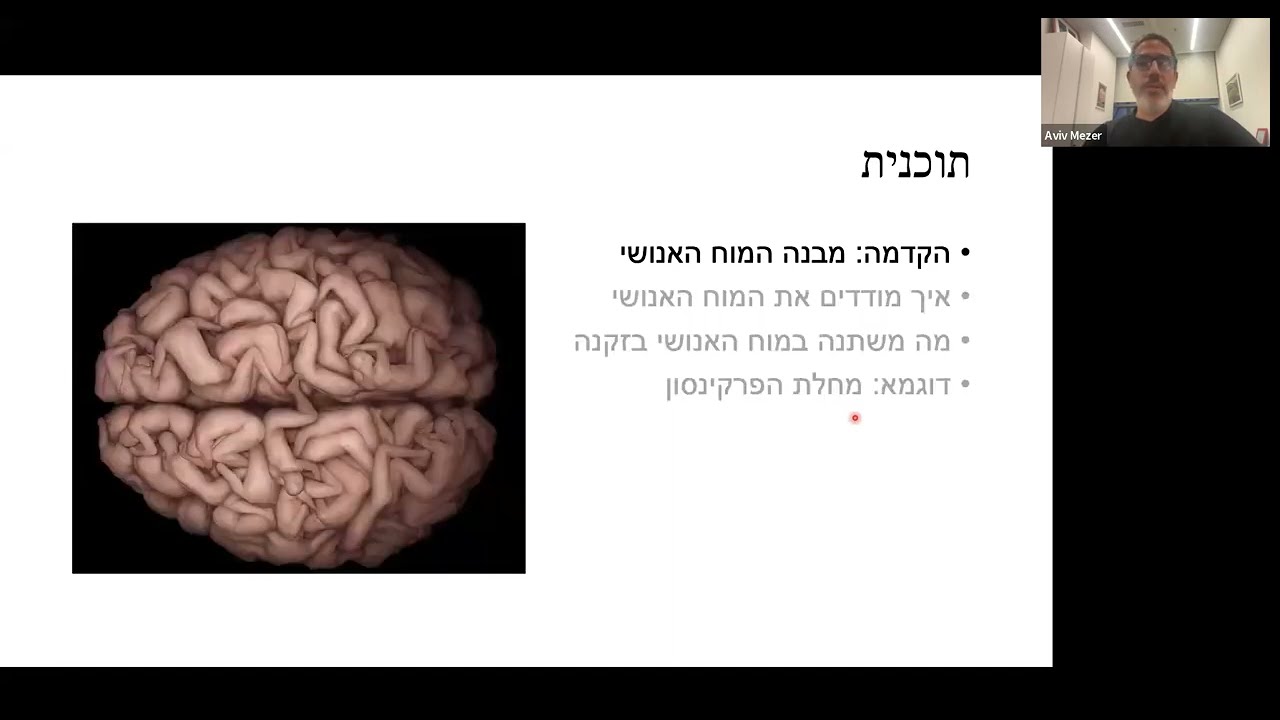 מיפוי המוח ע