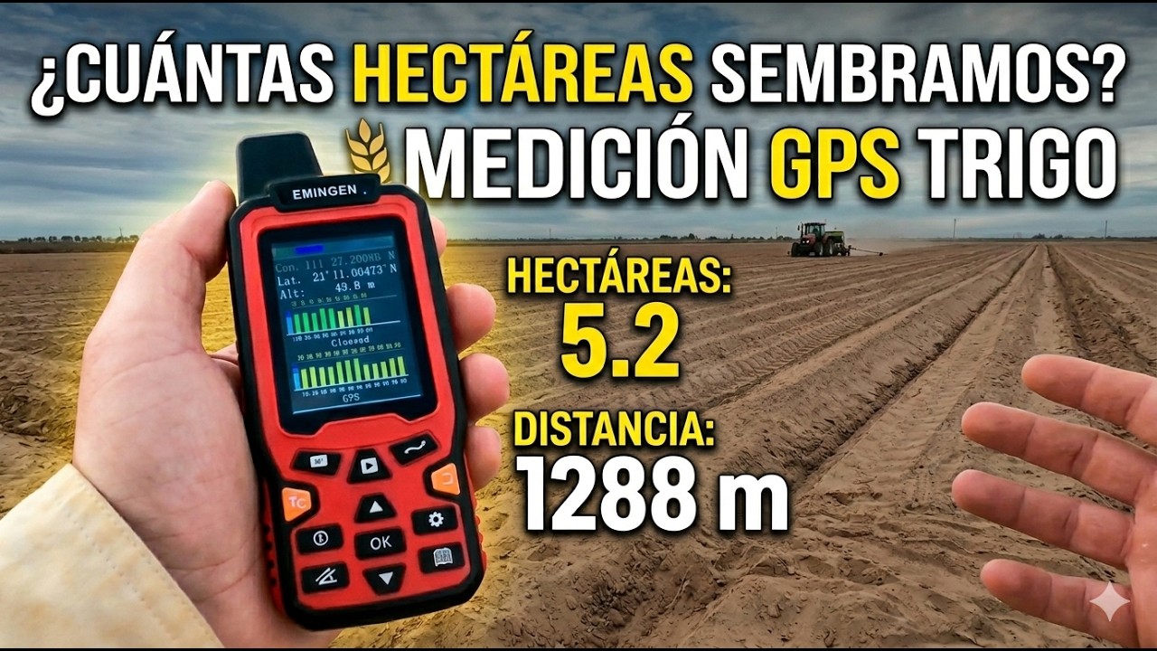 ¿Cuántas HECTÁREAS sembramos? 🚜 Midiendo el cuadro de TRIGO con GPS