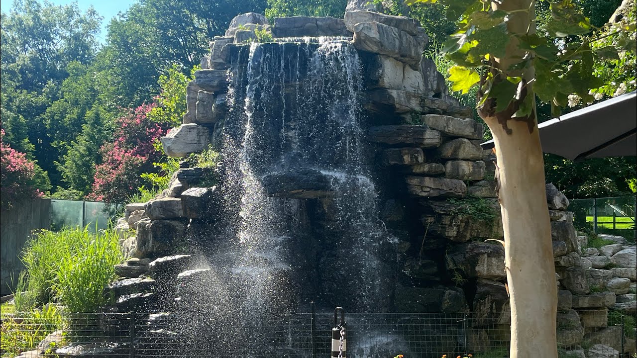 4K|🇺🇸| National Zoo Walking Tour|Main Attraction| Washington DC