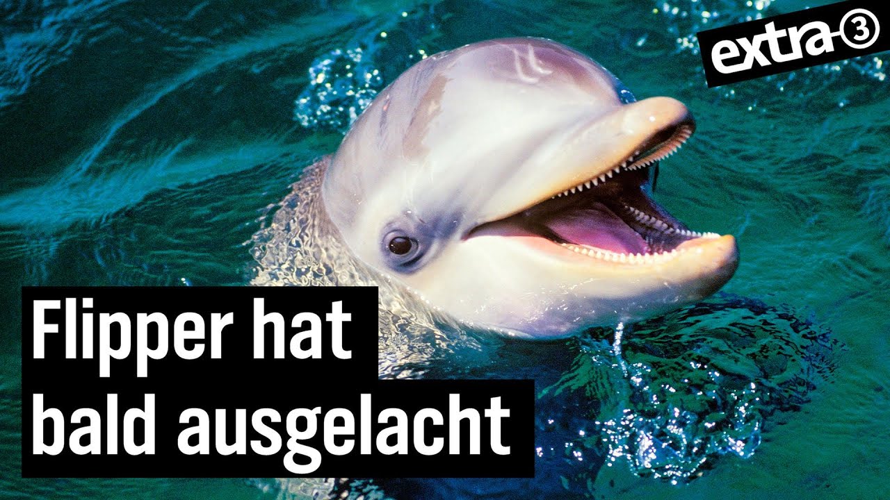 Song zum Artensterben: 