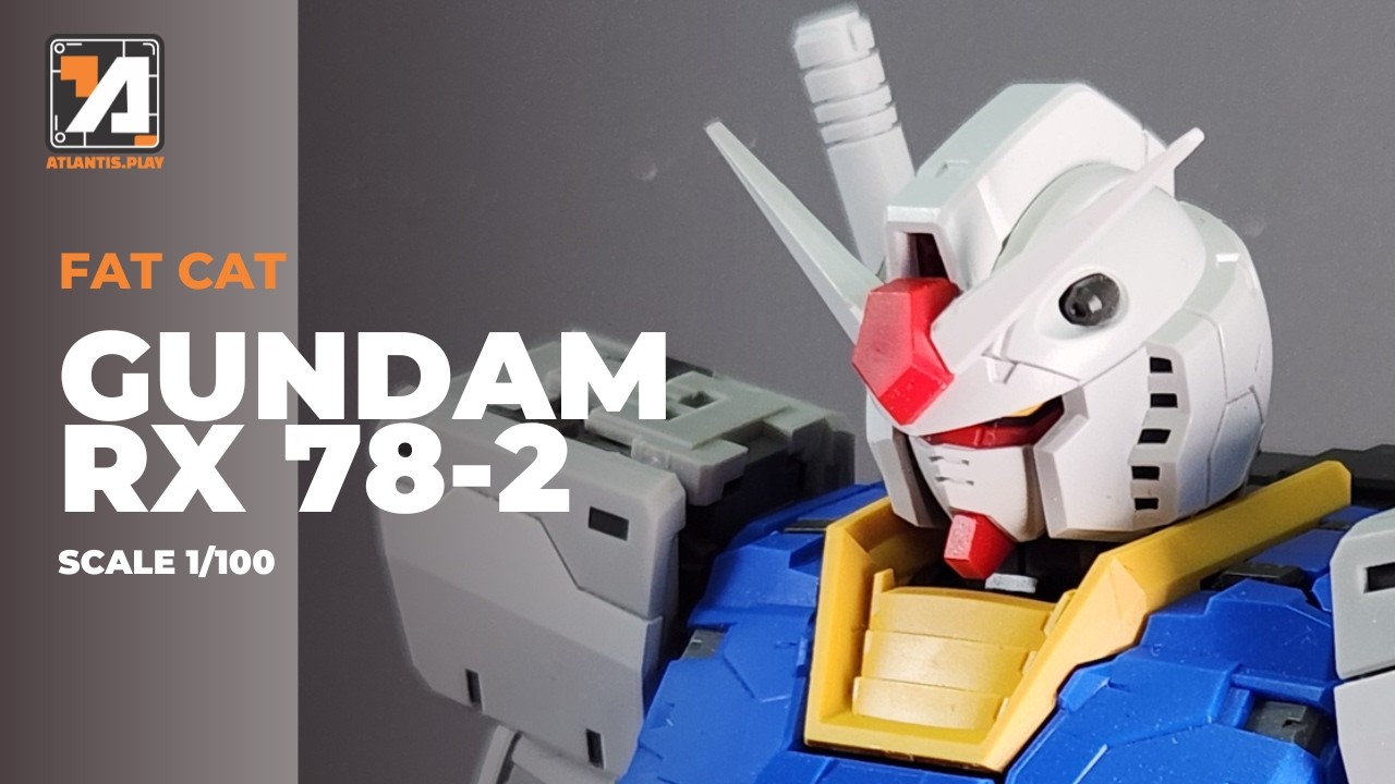 BUILD FAT CAT 1/100 RX 78 2