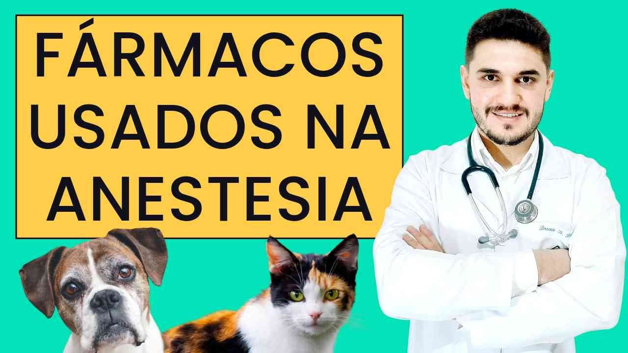 FÁRMACOS MAIS UTILIZADOS NA ANESTESIA DE CÃES E GATOS