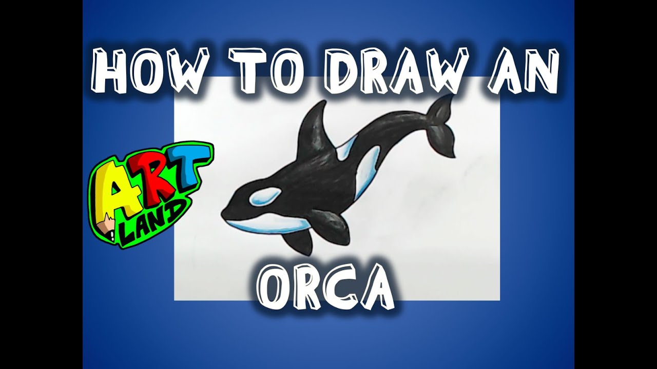 How to Draw an ORCA