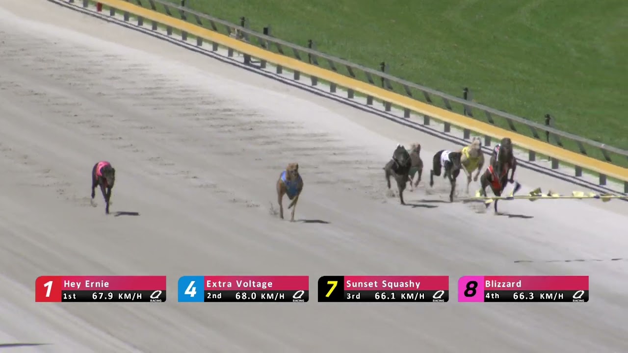 Q-Straight-12032026-Race-7