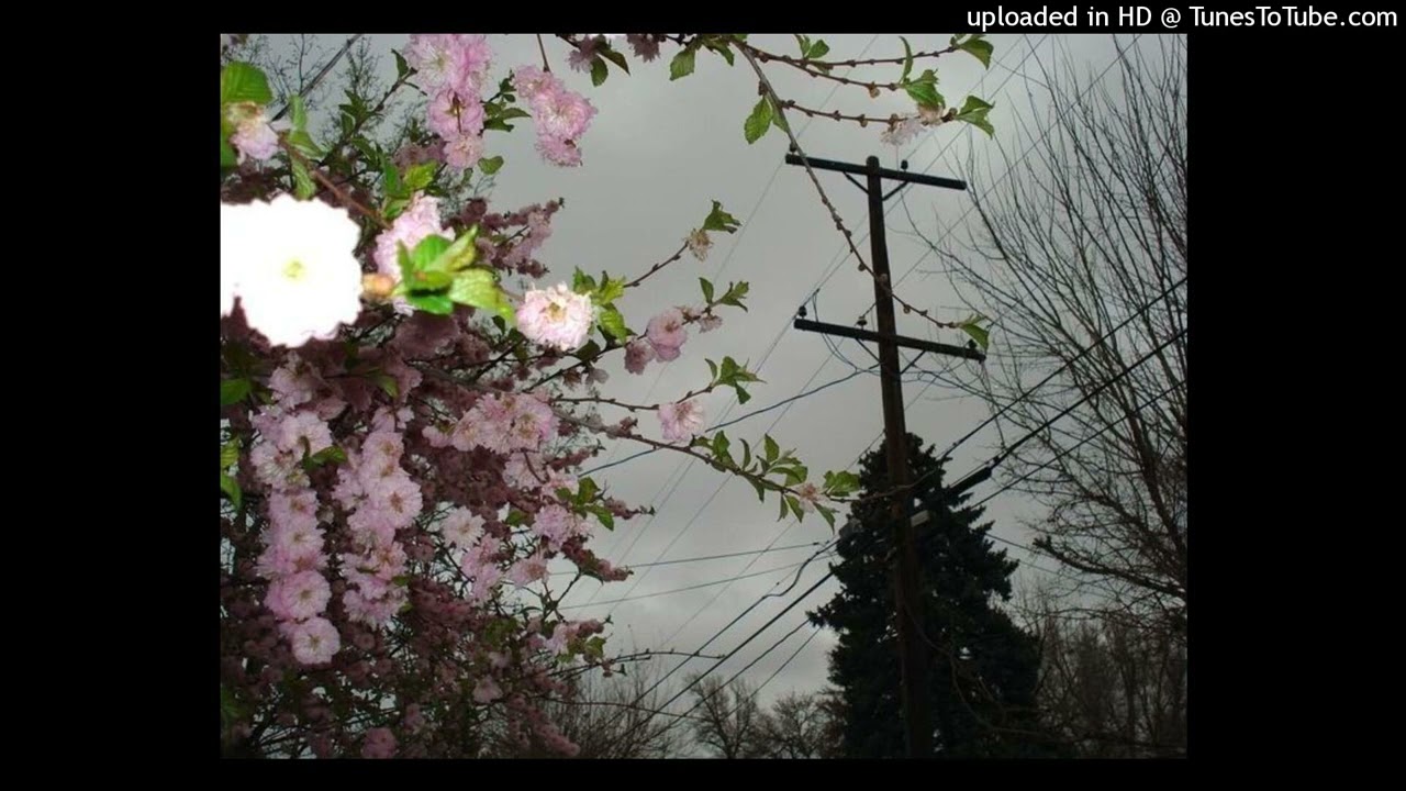ambient + yung lean type beat - 