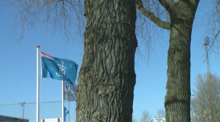 Onze Club - V.C. Vlissingen