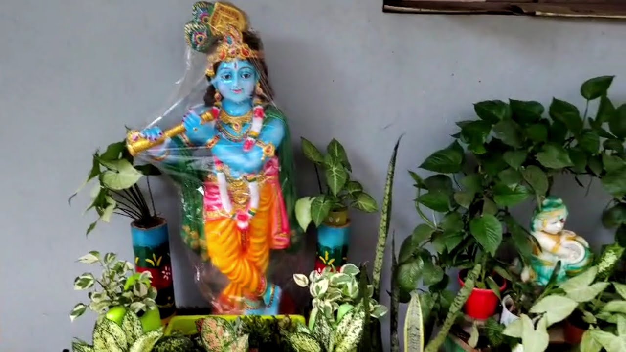 భీమవరం గంగక్కఇంట్లో బృందావనం #vlogs #vlogschannel #gardening #indoorplants #gardendesign #gardentour