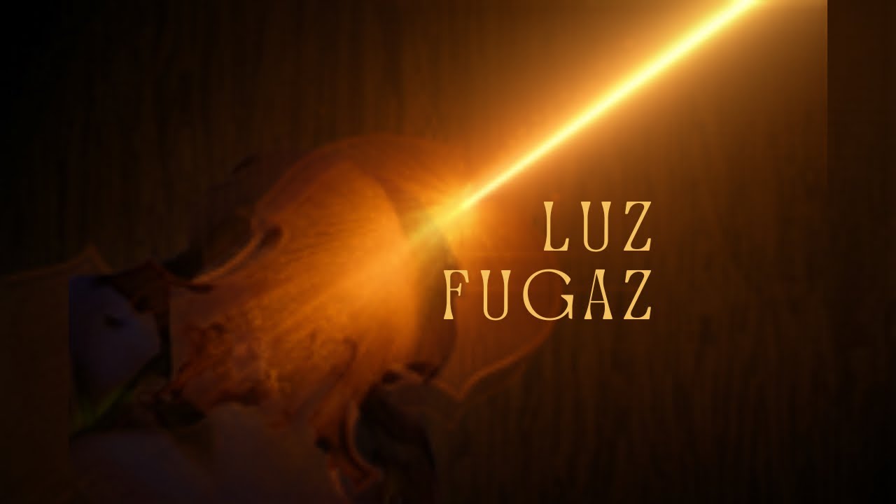 Luz fugaz -violín 🎻 