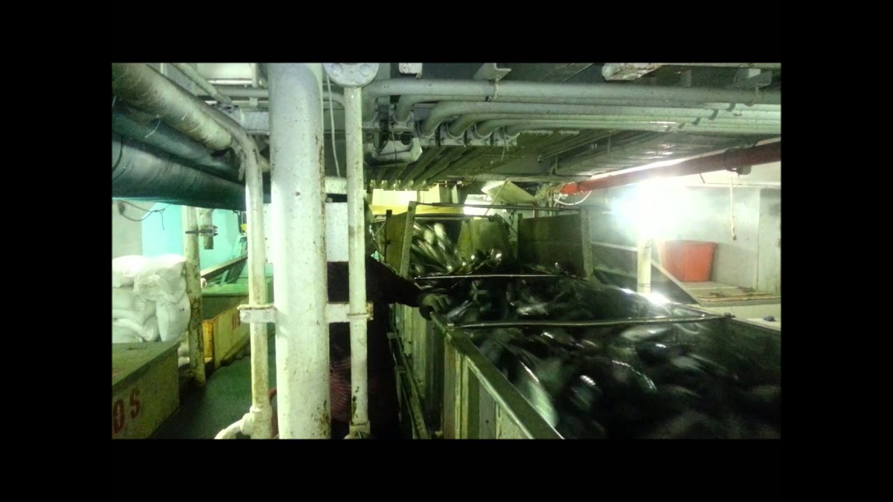 Helicopter Pilot on Tuna Boat