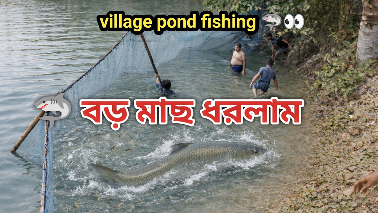 পুকুরে বড় মাছ ধরলাম! | Village Pond Fishing | PalliHaat”