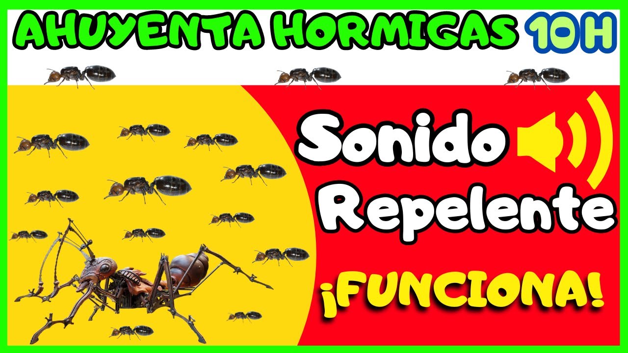 SONIDO AHUYENTA HORMIGAS 10 HORAS 🐜