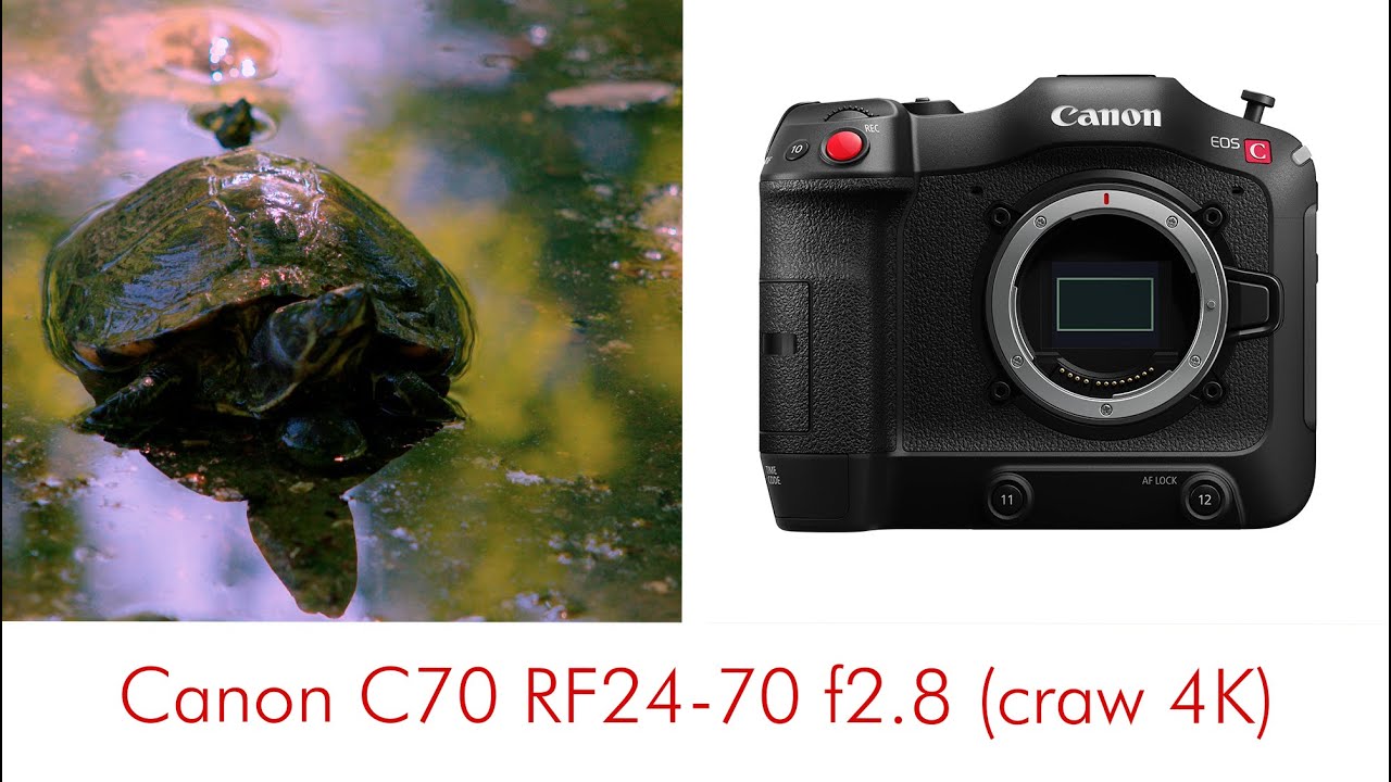 Canon C70 RF 24-70 f2.8 Craw 4K