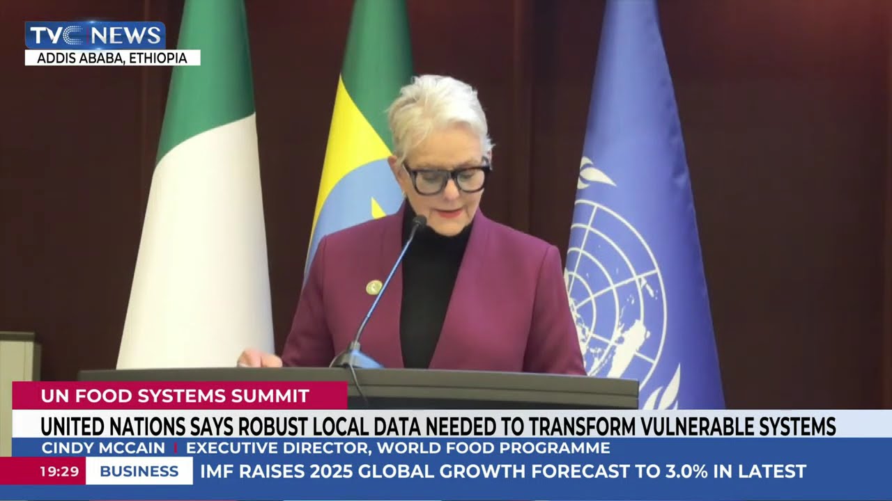 VP Shettima Seeks Global Partnership For Sustainable Agricultural Transformation